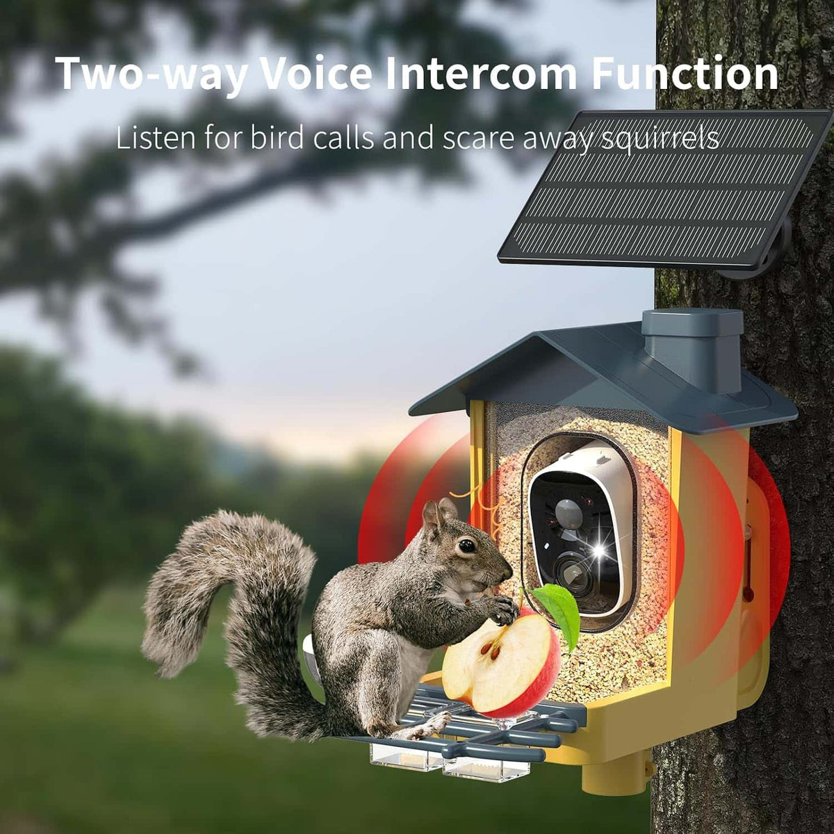 Smart Bird Feeder with Camera AI 2K HD Solar Powered Bird Feeder