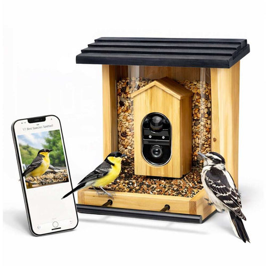 Smart Bird Feeder with Camera  AI Bird ID Solar and Night Vision