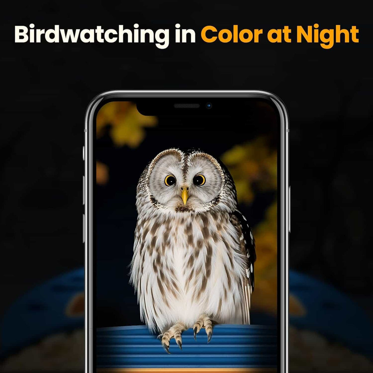 Smart Bird Feeder with Camera  2.5K AI Bird Identification Solar Camera