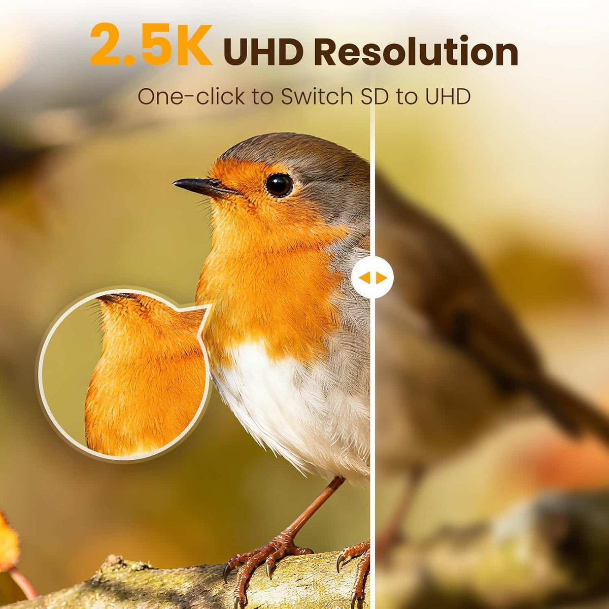 Smart Bird Feeder with Camera  2.5K AI Bird Identification Solar Camera
