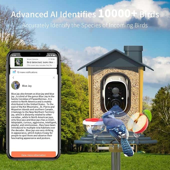 Smart Bird Feeder with Camera  AI 2K HD Solar Powered Bird Feeder